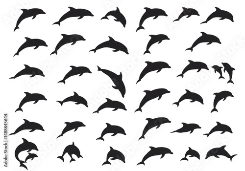 A Captivating Collection of Marine Mammals Playfully Leaping and Swimming in the Ocean A Celebration of Aquatic Life