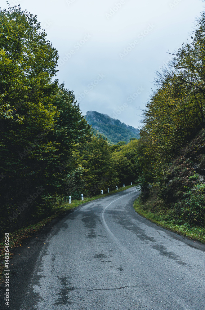 road to the mountains forest green in caucasus road to the mountains forest green in caucasus