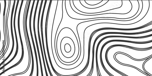 The lines should vary in thickness and brightness, abstract digital artwork featuring intricate topographic contour lines in fine detail, flowing smoothly and organically on the white background.
