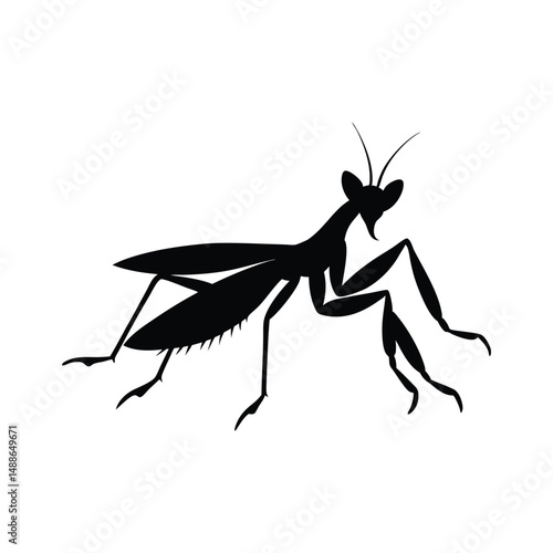 Praying mantis silhouette vector art illustration