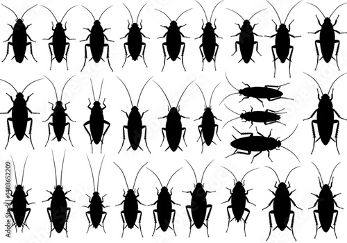 A Collection of Numerous Insect Pests Crawling Over Surfaces Like Cockroaches Infesting Homes to Cause Discomfort and Health Concerns in Urban Areas