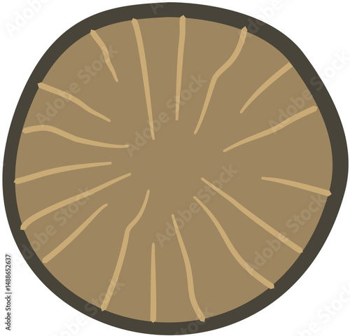 nutmeg seed cut