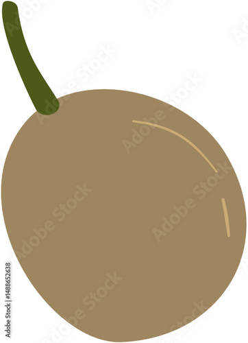 nutmeg plant fruit, Myristica fragrans