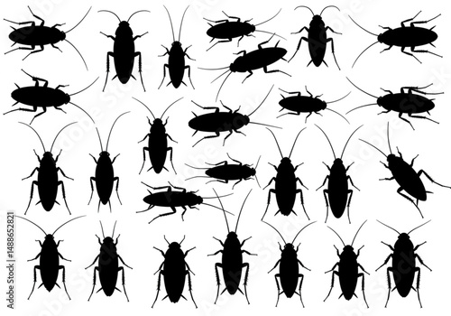 Dealing with Cockroaches A Comprehensive Guide to Identification Prevention and Effective Control Methods for a Pest Free Home