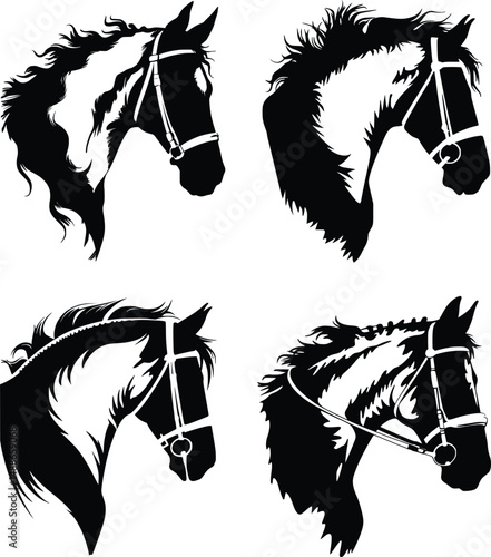 Horse head, Sizeable, Vector