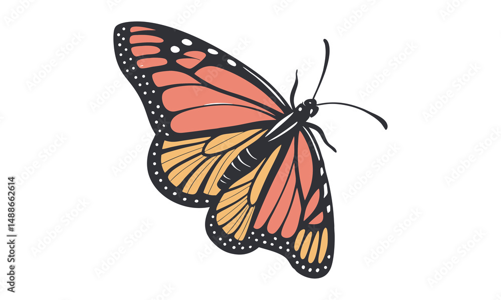 Fototapeta premium Colorful Monarch butterfly, butterflies silhouette on white background