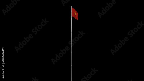 Vietnam Flag 3D Animation | Seamless Loop Clip