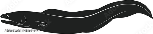 Black cat silhouettes with various black and white isolated objects like hats pucks belts and cameras