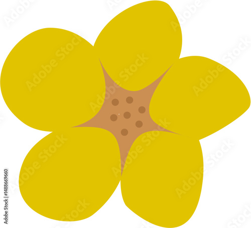 stylized Senna, food and beverage, herbal medicine
