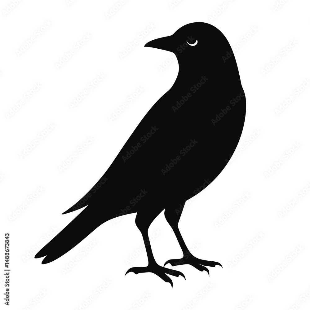 Fototapeta premium blackbird-perched-silhouette-vector-illustration-- (3).eps