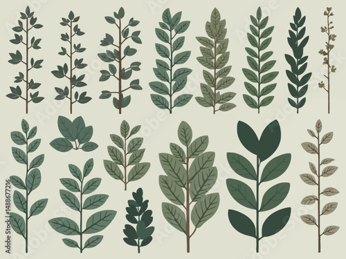 Seamless vintage pattern with green olive tree branches and leaves, a natural floral vector illustration
