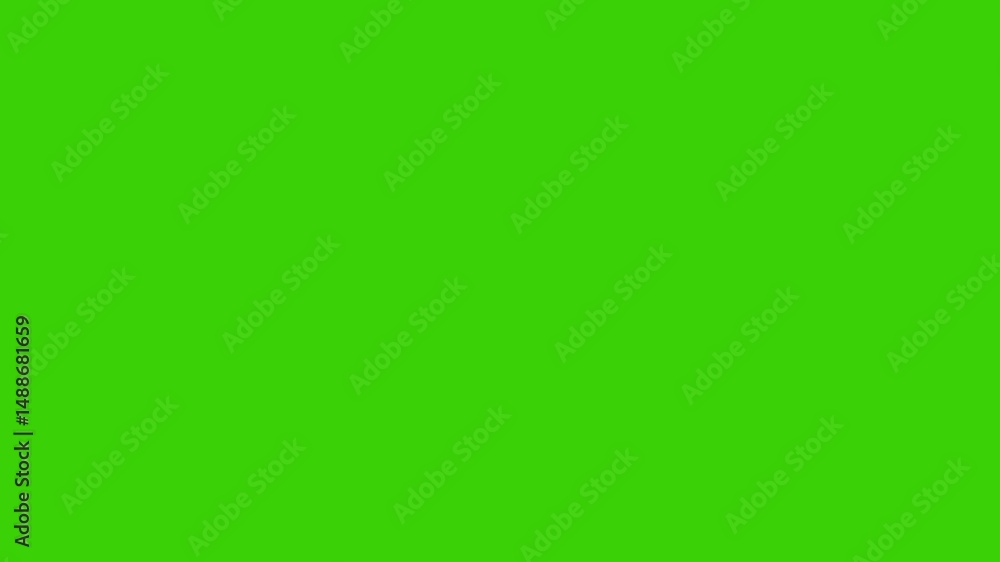 Subscribe & Follow Animated Text – 4K Green Screen Overlay Subscribe & Follow Animated Text – 4K Green Screen Overlay