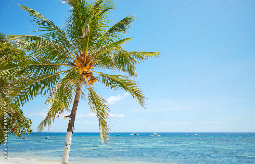 Fototapeta premium Tropical beach with palm tree and turquoise sea, perfect summer vacation concept.