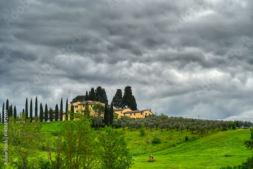 Toskana-Landschaft mit Olivenhain