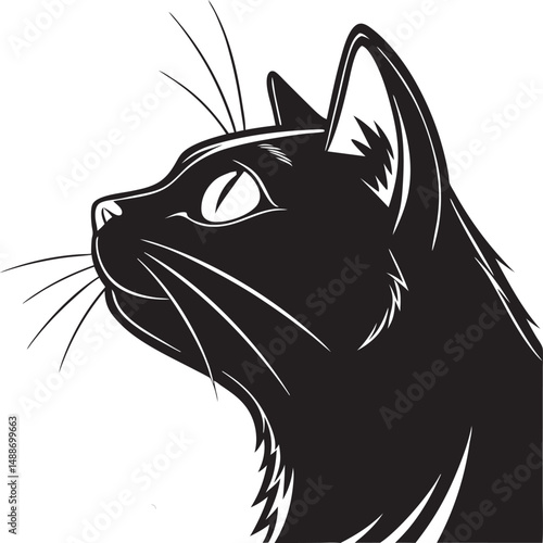 A cute black and white feline vector illustration shows a domestic pet animal