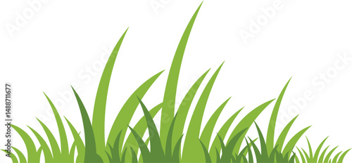 Fresh green blades of spring grass, isolated on a bright white background, suggest new growth and summer freshness