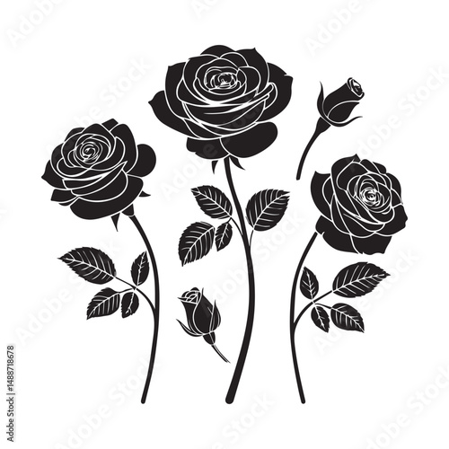 set of roses vector illustration