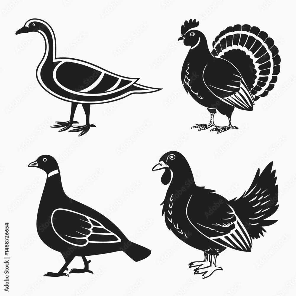 Obraz premium Black silhouettes of domestic and wildfowl birds