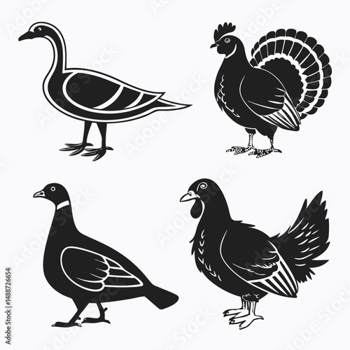 Black silhouettes of domestic and wildfowl birds