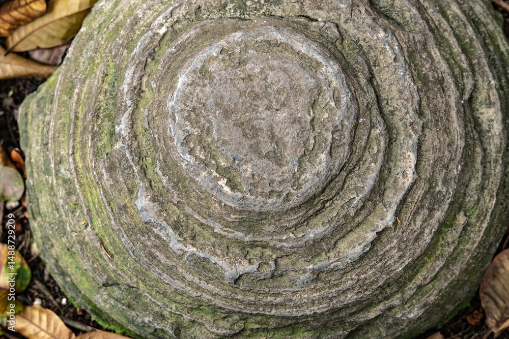 Fototapeta premium Embossed texture of the bark of tree. Panoramic photo of the tree texture. Background wood, wood texture