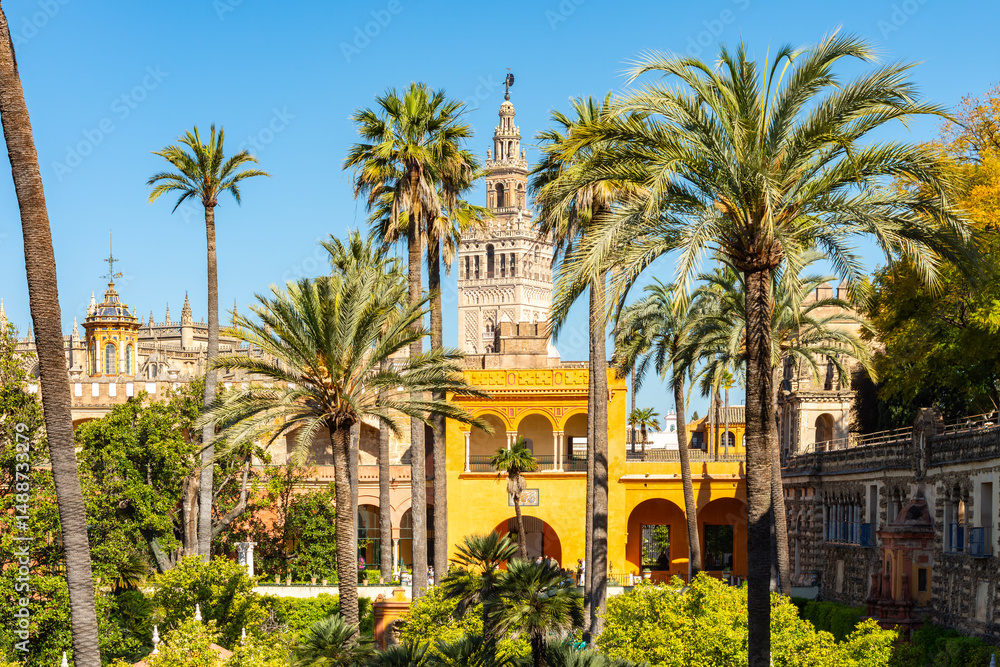 Fototapeta premium Giralda tower of Seville cathedral and Alcazar gardens, Andalusia, Spain