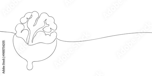 Minimalist line art of a walnut dipped in chocolate, ideal for food, snack, or nutrition-related graphic design projects.