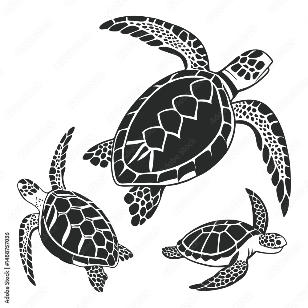 Fototapeta premium A set of simple black and white illustration of a sea turtle viewed from above. The turtle has a detailed shell with geometric patterns, flippers extended, and a textured head.