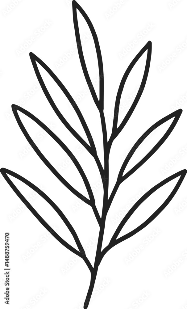 Hand-drawn black botanical line branch illustration. Vector. Hand-drawn black botanical line branch illustration. Vector.