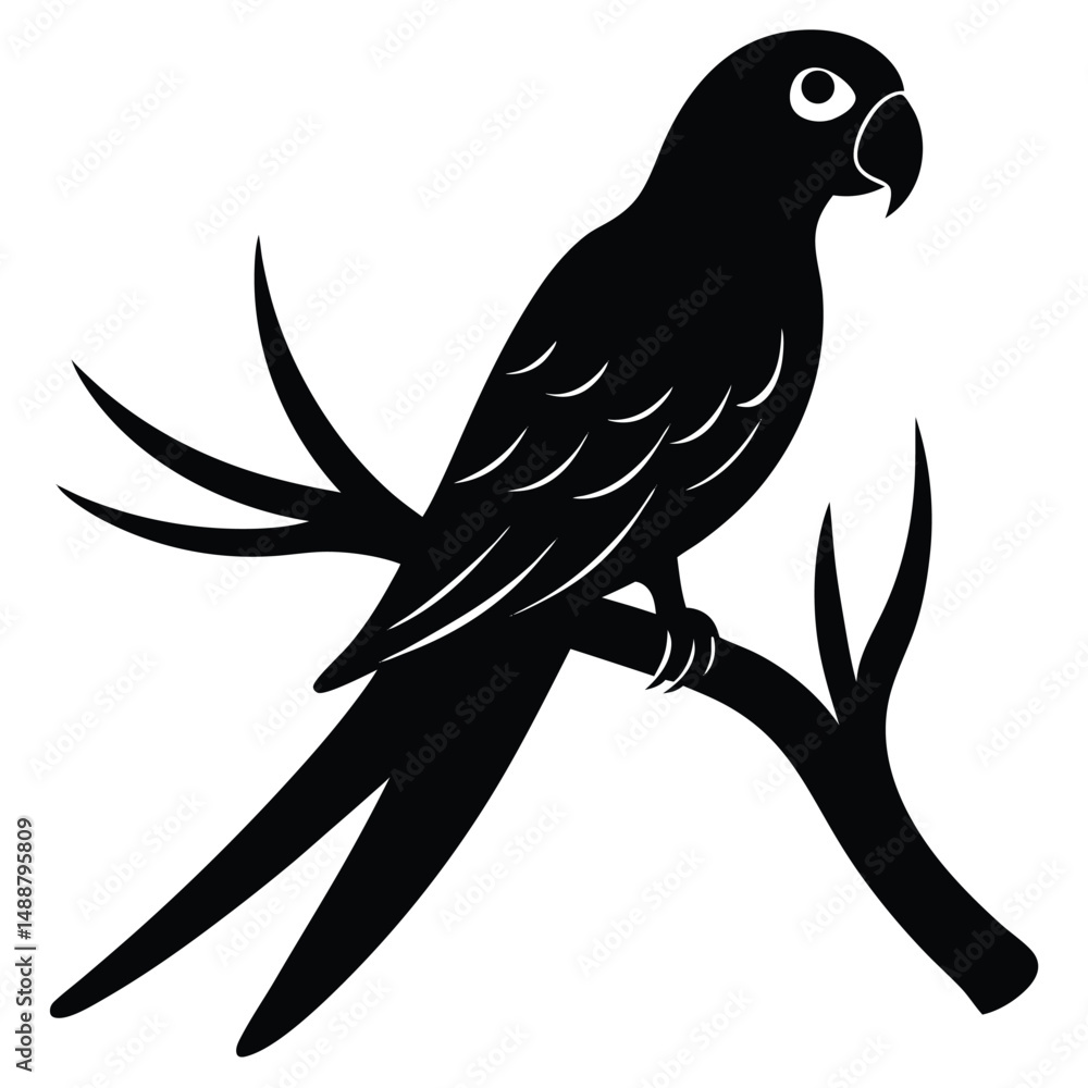 Fototapeta premium parrot-perched-on-tree-branch-silhouette-on-white-.eps