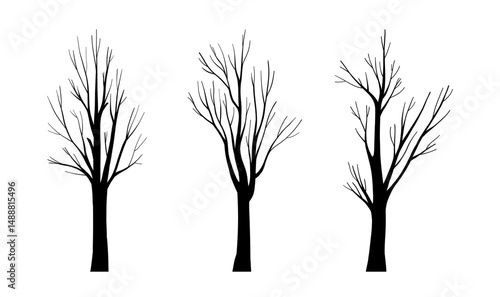 Set of realistic natural tree silhouette, Leafless Trees Trunks Drawing with Bare Branches, autumn or winter isolated hand drawn clip art, trunk wood collection for decorative botany design, Halloween