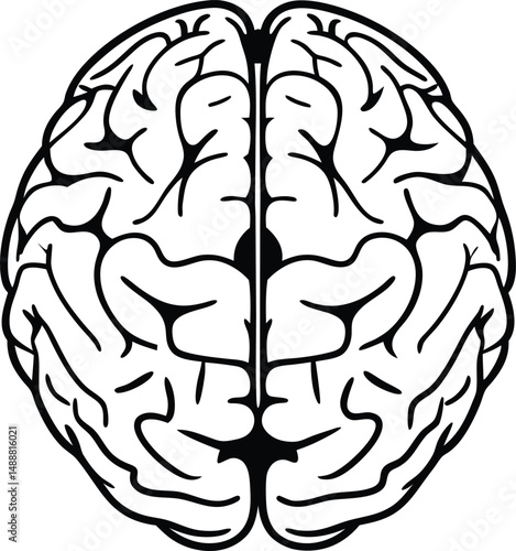 Human Brain Continuous One Line Silhouette Vector ,human brain vector, brains, nervous, mental