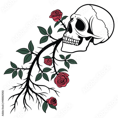 Floating Skull with Long Rose Vine Descending in Line Art