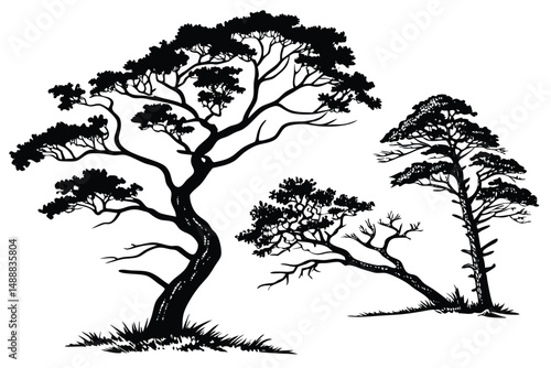 Simple black icons of various coniferous and deciduous trees, depicted as elegant silhouettes, make for beautiful decorative plant graphics