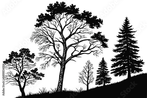 Simple black icons of various coniferous and deciduous trees, depicted as elegant silhouettes, make for beautiful decorative plant graphics