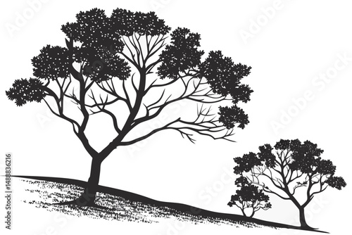 Simple black icons of various coniferous and deciduous trees, depicted as elegant silhouettes, make for beautiful decorative plant graphics