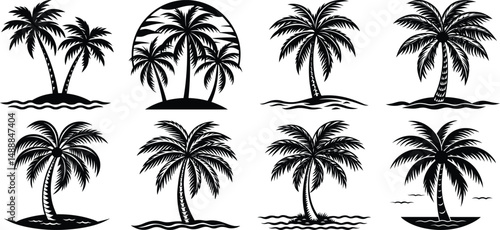 palm trees silhouettes on white background