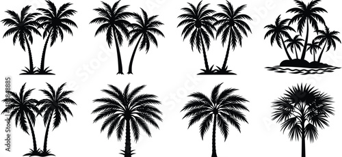 set of palm trees vector or png