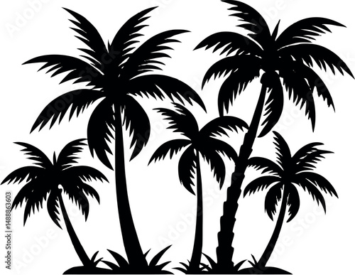 palm tree silhouette, Plam Trees silhouette isolated on white background