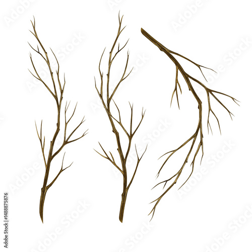 A set of bare tree branches. Handmade watercolor illustration. a color image of a natural element. The isolate. For postcards, prints, banners and posters.
