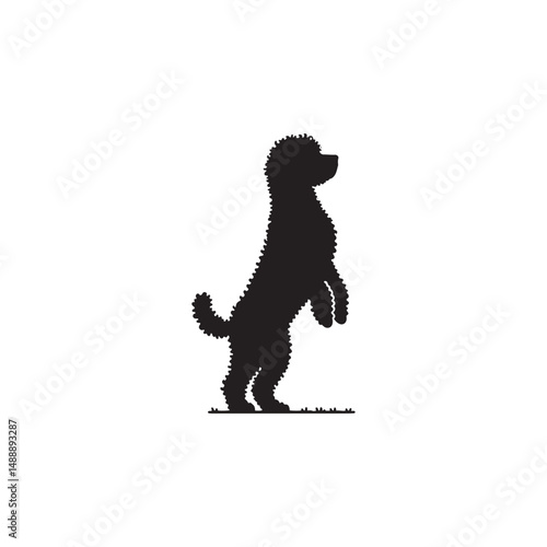 Lagotto Romagnolo Dog Silhouette – A charming outline of this curly-coated truffle hunter, showcasing its compact build, lively posture, and loyal temperament in clean vector form.
