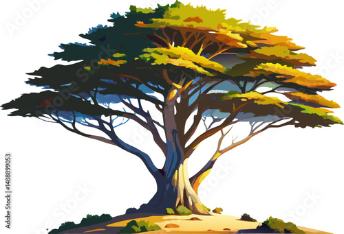 A watercolor illustration of a Coastal Cypress (Cupressus macrocarpa), with dense foliage and flared base, isolated on a white background.