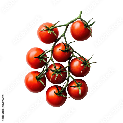 Freshly picked ripe tomatoes arranged on a clean Transparent background with vibrant color contrast, Ripe tomatoes PNG background with PNG background