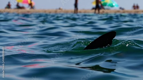 Wallpaper Mural Shark Fin Breaking Water Surface Near Beach Crowd Torontodigital.ca