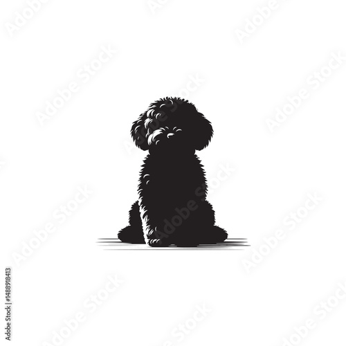 Elegant Maltipoo dog silhouette vector illustration featuring the playful charm of this poodle-Maltese mix breed, ideal for pet art, design projects, and dog lover graphics.
