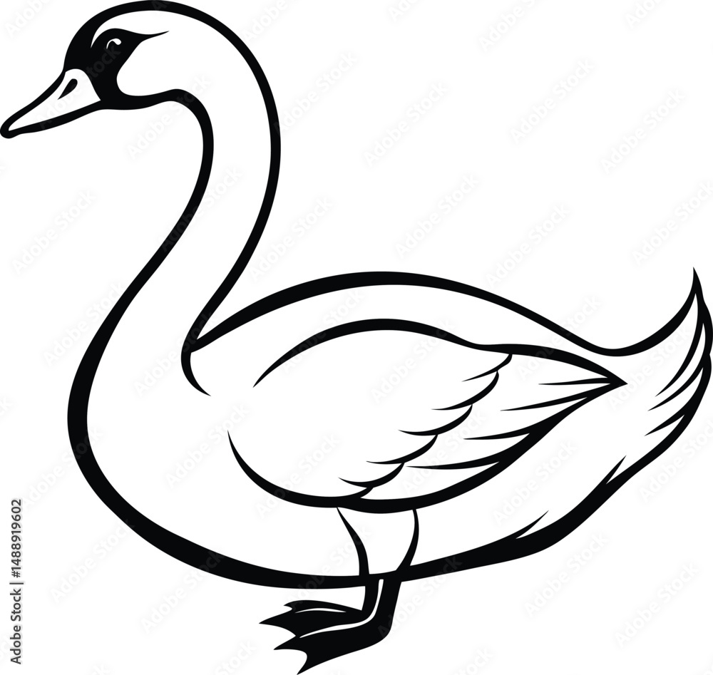 Fototapeta premium swan isolated silhouette