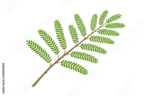 Realistic green branch with lush leaves, isolated on a transparent background, perfect for nature-themed designs