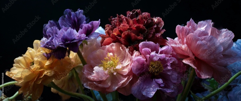 Obraz premium Color gradient of vibrant flowers