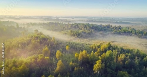 Wallpaper Mural Unique wetland Zvaniec (Belarus) in the morning Torontodigital.ca