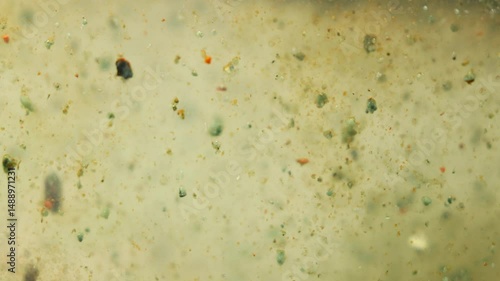 Turbid Green Water with Floating Organic Matter and Plant Debris in a Swampy Marsh Environment