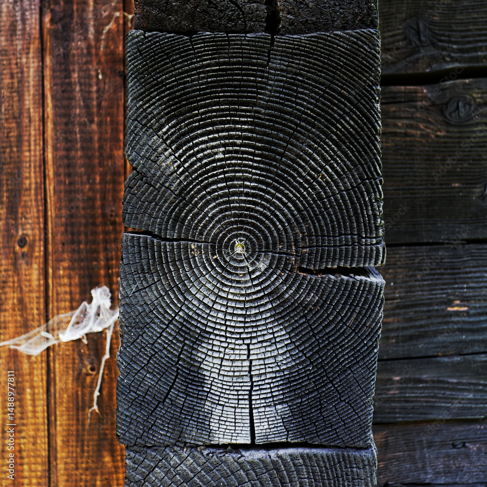 Fototapeta premium drewno